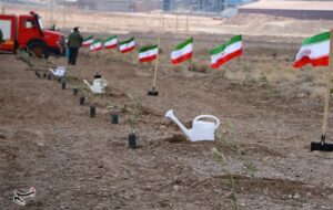 پیگیری طرح رهبر شهید برای کاشت یک میلیارد درخت با قوت بیشتر پیگیری طرح رهبر شهید برای کاشت یک میلیارد درخت با قوت بیشتر