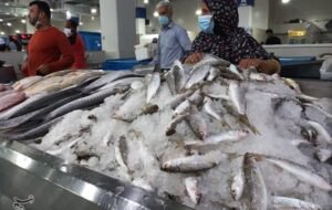 کمبودی در عرضه ماهی شب عید وجود ندارد کمبودی در عرضه ماهی شب عید وجود ندارد