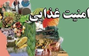 85 درصد امنیت غذایی کشور داخلی است 85 درصد امنیت غذایی کشور داخلی است