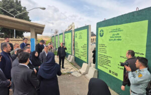 انصاری: گوزن زرد ایرانی گونه با ارزش باید صیانت شود انصاری: گوزن زرد ایرانی گونه با ارزش باید صیانت شود