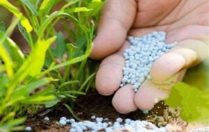 تأثیر تنش درخلیج فارس بر بازارهای جهانی کود شیمیایی و تولید غذا تأثیر تنش درخلیج فارس بر بازارهای جهانی کود شیمیایی و تولید غذا