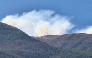 حمله به سازمان منابع طبیعی را به نهادهای سازمان ملل منعکس کردهایم حمله به سازمان منابع طبیعی را به نهادهای سازمان ملل منعکس کردهایم