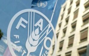 رشد 2.4 درصدی قیمت جهانی غذا در یک ماهه جنگ آمریکا علیه ایران رشد 2.4 درصدی قیمت جهانی غذا در یک ماهه جنگ آمریکا علیه ایران