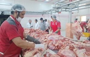 عوارض واردات گوشت و مرغ در سال جاری اعلام شد عوارض واردات گوشت و مرغ در سال جاری اعلام شد