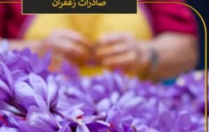 افشای آمار عجیب صادرات زعفران ایرانی توسط افغانستان افشای آمار عجیب صادرات زعفران ایرانی توسط افغانستان