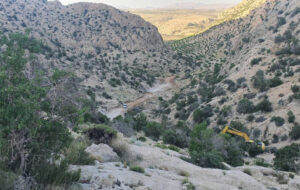 خانواده نخستین مدرسه برای حفاظت از محیط زیست است خانواده نخستین مدرسه برای حفاظت از محیط زیست است