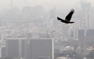 متوسط قیمت مسکن تهران اعلام شد/ خریداران از بازار فرار کردند متوسط قیمت مسکن تهران اعلام شد/ خریداران از بازار فرار کردند