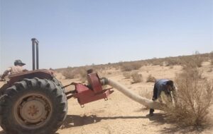 ملخهای بومی برای تولید خوراک طیور و آبزیان جارو میشوند ملخهای بومی برای تولید خوراک طیور و آبزیان جارو میشوند