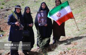 طرح کاشت یک میلیارد درخت در نیمه راه؛ بقای نهالها مهمتر از آمار کاشت طرح کاشت یک میلیارد درخت در نیمه راه؛ بقای نهالها مهمتر از آمار کاشت