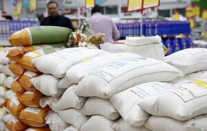 کالای اساسی مراسم تشییع رهبر شهید به میزان مکفی تامین شد کالای اساسی مراسم تشییع رهبر شهید به میزان مکفی تامین شد